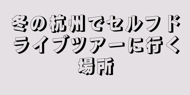 冬の杭州でセルフドライブツアーに行く場所