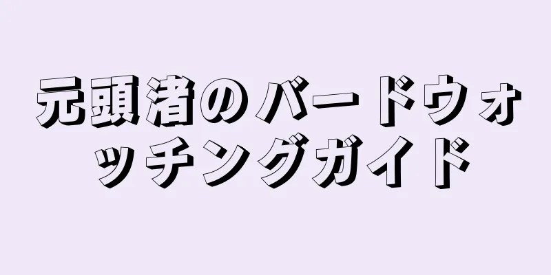 元頭渚のバードウォッチングガイド