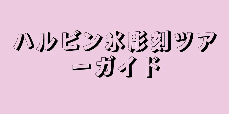 ハルビン氷彫刻ツアーガイド