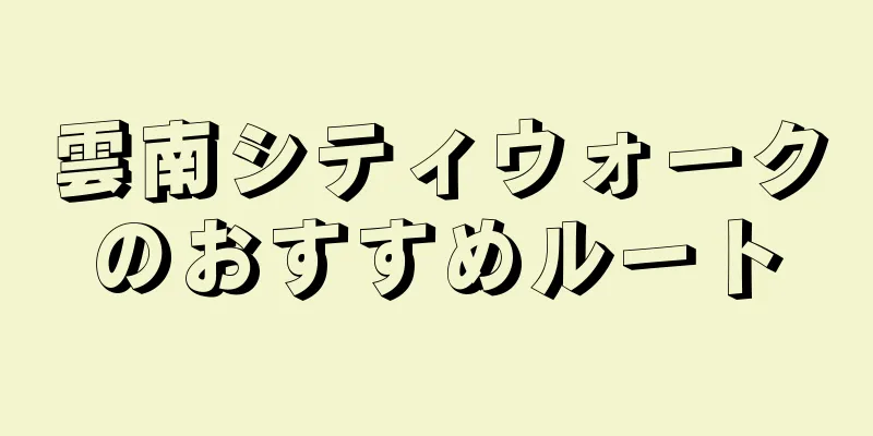 雲南シティウォークのおすすめルート