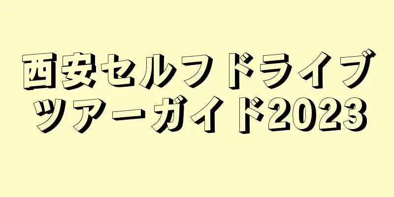 西安セルフドライブツアーガイド2023