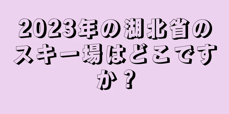 2023年の湖北省のスキー場はどこですか？