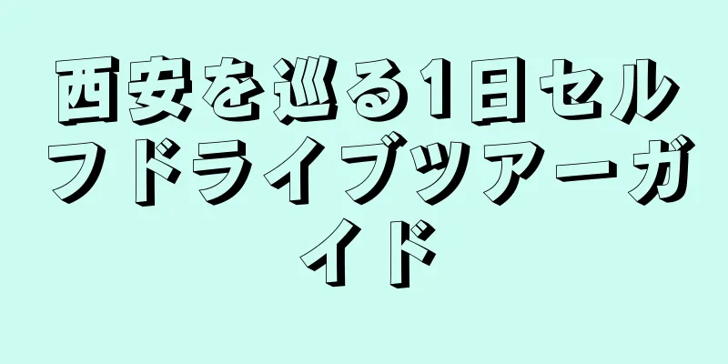 西安を巡る1日セルフドライブツアーガイド