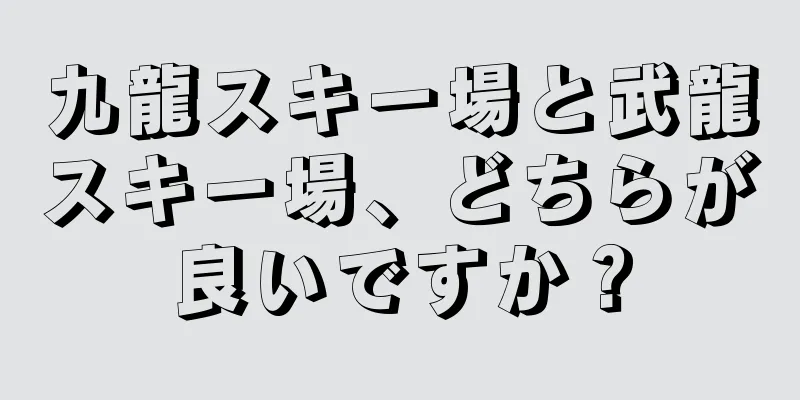 九龍スキー場と武龍スキー場、どちらが良いですか？
