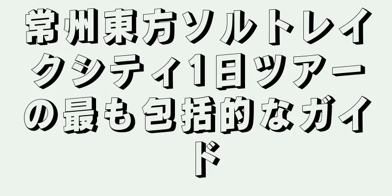常州東方ソルトレイクシティ1日ツアーの最も包括的なガイド