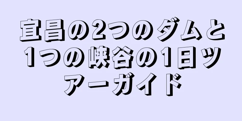 宜昌の2つのダムと1つの峡谷の1日ツアーガイド