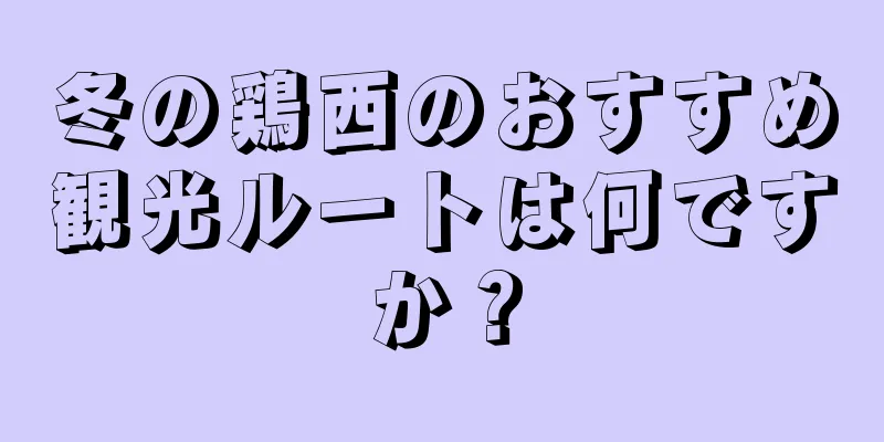 冬の鶏西のおすすめ観光ルートは何ですか？