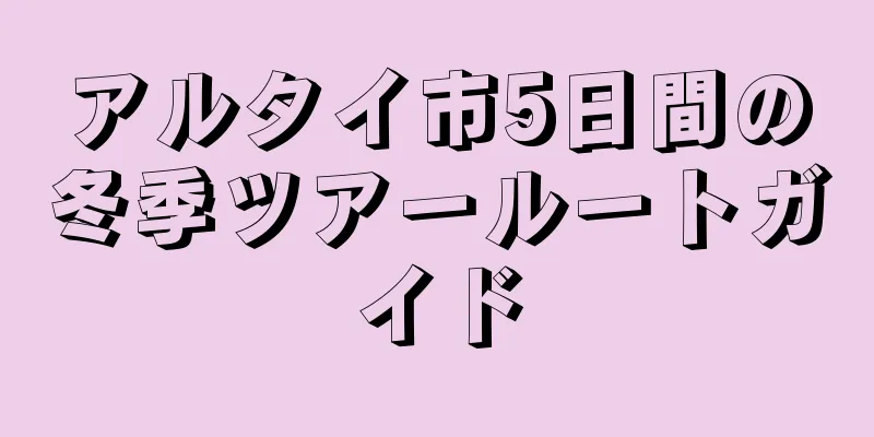 アルタイ市5日間の冬季ツアールートガイド