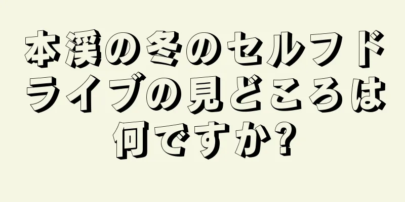 本渓の冬のセルフドライブの見どころは何ですか?