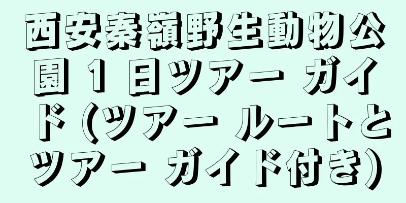 西安秦嶺野生動物公園 1 日ツアー ガイド (ツアー ルートとツアー ガイド付き)