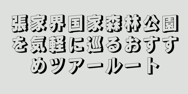 張家界国家森林公園を気軽に巡るおすすめツアールート