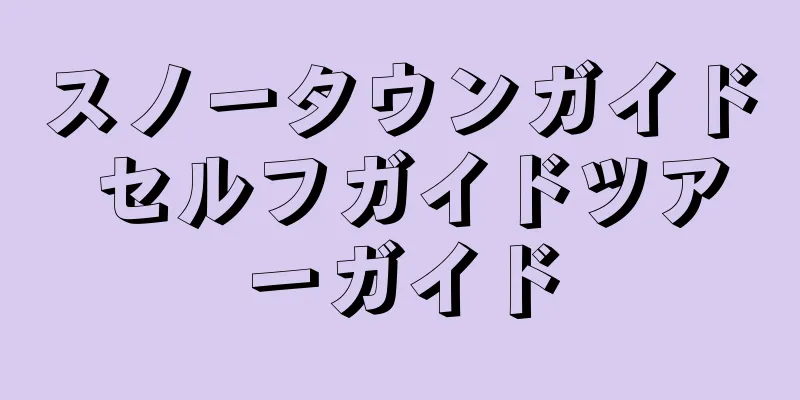 スノータウンガイド セルフガイドツアーガイド