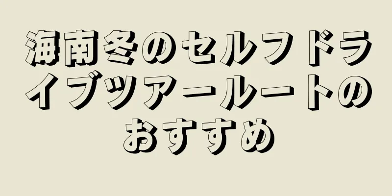 海南冬のセルフドライブツアールートのおすすめ
