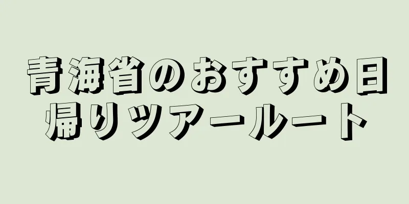 青海省のおすすめ日帰りツアールート