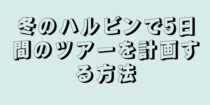 冬のハルビンで5日間のツアーを計画する方法