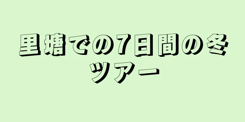 里塘での7日間の冬ツアー
