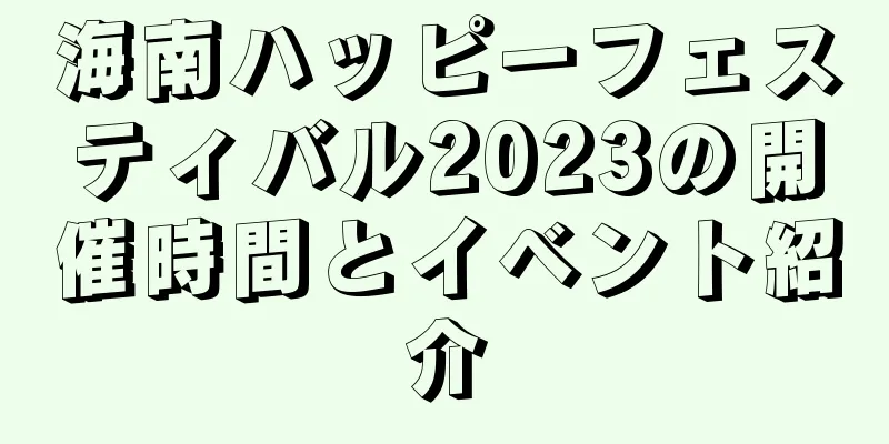 海南ハッピーフェスティバル2023の開催時間とイベント紹介