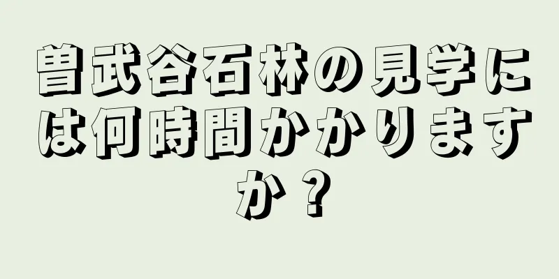 曽武谷石林の見学には何時間かかりますか？