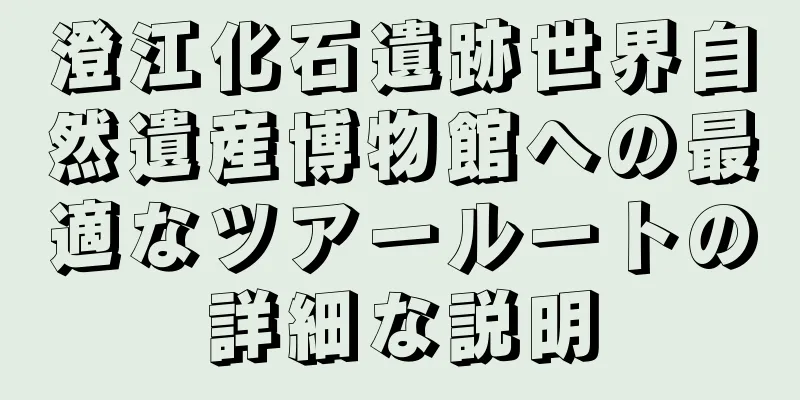 澄江化石遺跡世界自然遺産博物館への最適なツアールートの詳細な説明