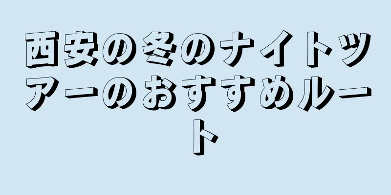 西安の冬のナイトツアーのおすすめルート
