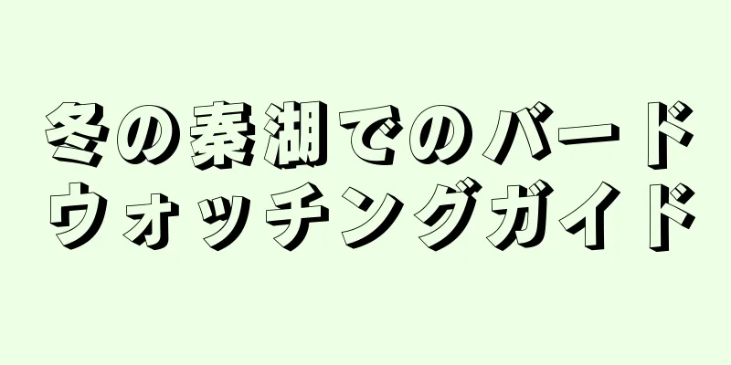冬の秦湖でのバードウォッチングガイド