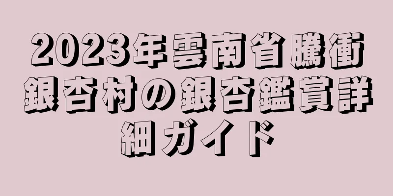2023年雲南省騰衝銀杏村の銀杏鑑賞詳細ガイド