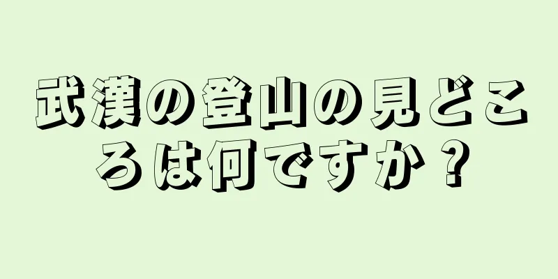 武漢の登山の見どころは何ですか？