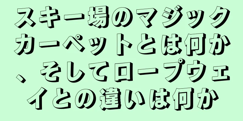 スキー場のマジックカーペットとは何か、そしてロープウェイとの違いは何か