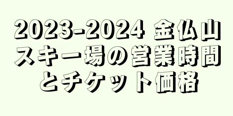 2023-2024 金仏山スキー場の営業時間とチケット価格