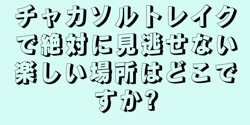 チャカソルトレイクで絶対に見逃せない楽しい場所はどこですか?