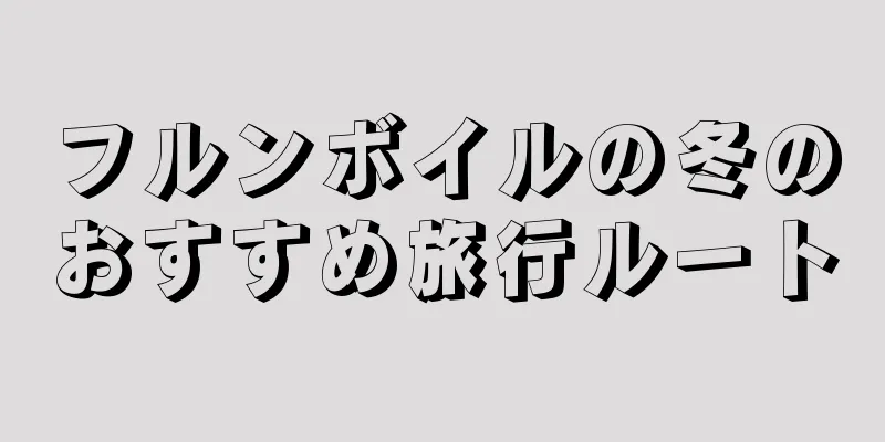 フルンボイルの冬のおすすめ旅行ルート
