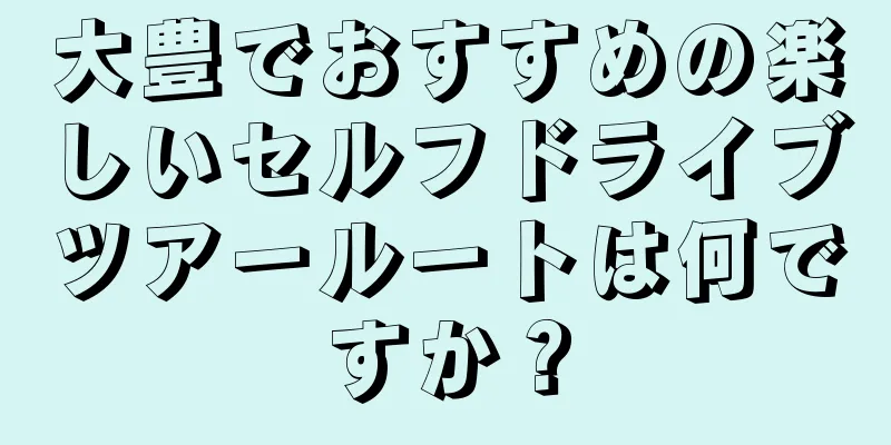 大豊でおすすめの楽しいセルフドライブツアールートは何ですか？