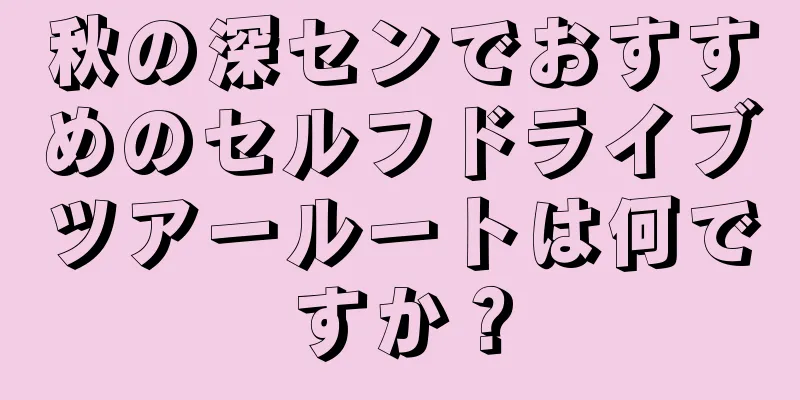 秋の深センでおすすめのセルフドライブツアールートは何ですか？