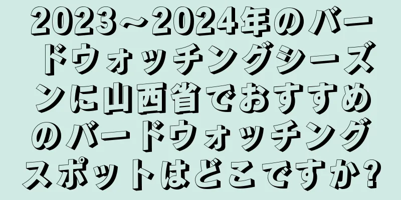 2023～2024年のバードウォッチングシーズンに山西省でおすすめのバードウォッチングスポットはどこですか?