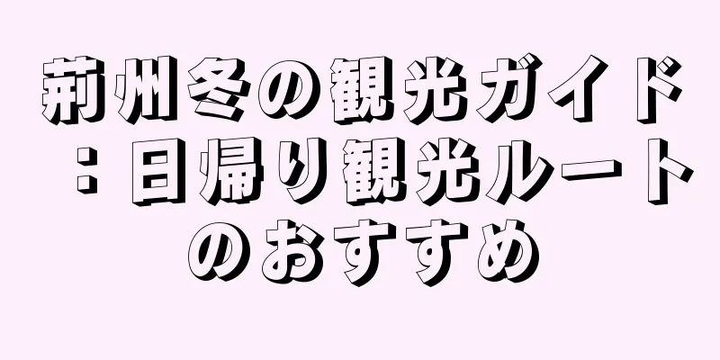 荊州冬の観光ガイド：日帰り観光ルートのおすすめ