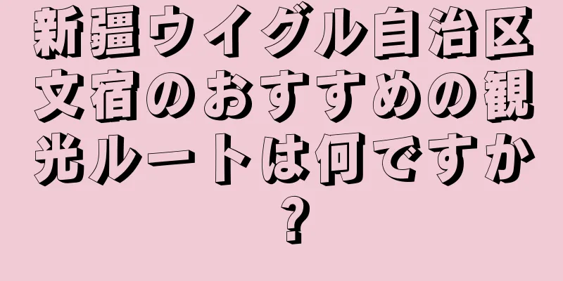 新疆ウイグル自治区文宿のおすすめの観光ルートは何ですか？
