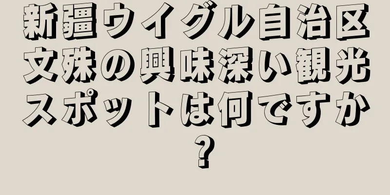 新疆ウイグル自治区文殊の興味深い観光スポットは何ですか？