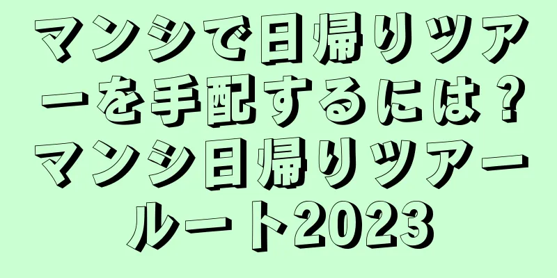 マンシで日帰りツアーを手配するには？マンシ日帰りツアールート2023