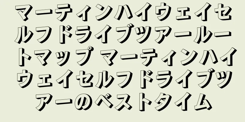 マーティンハイウェイセルフドライブツアールートマップ マーティンハイウェイセルフドライブツアーのベストタイム