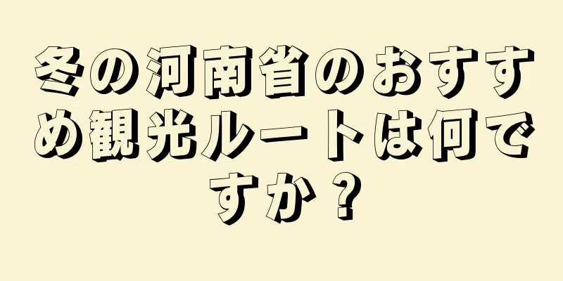 冬の河南省のおすすめ観光ルートは何ですか？
