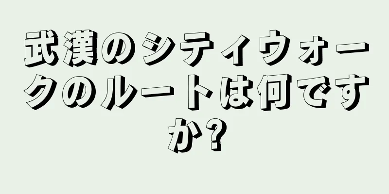 武漢のシティウォークのルートは何ですか?