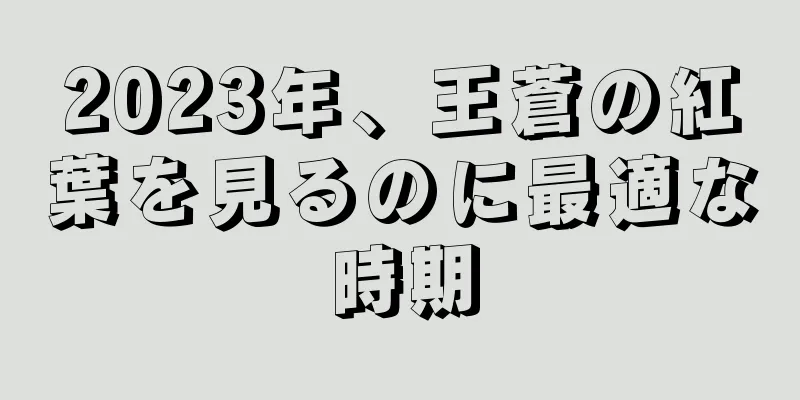 2023年、王蒼の紅葉を見るのに最適な時期