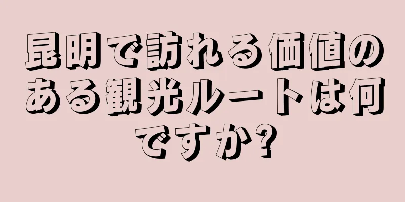昆明で訪れる価値のある観光ルートは何ですか?