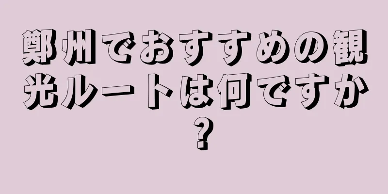 鄭州でおすすめの観光ルートは何ですか？