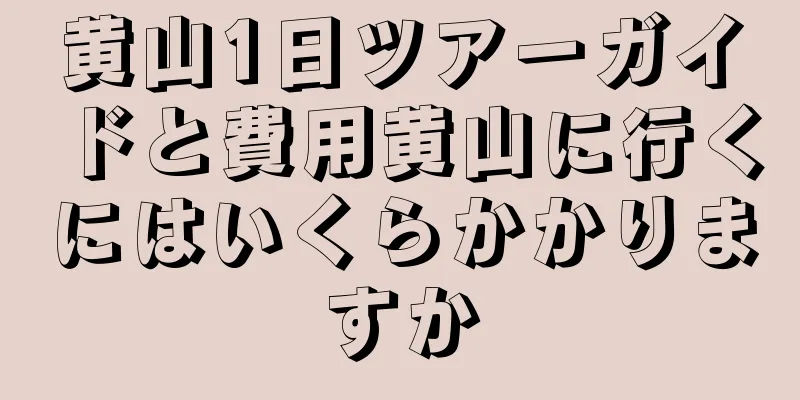 黄山1日ツアーガイドと費用黄山に行くにはいくらかかりますか