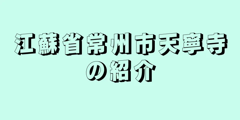 江蘇省常州市天寧寺の紹介