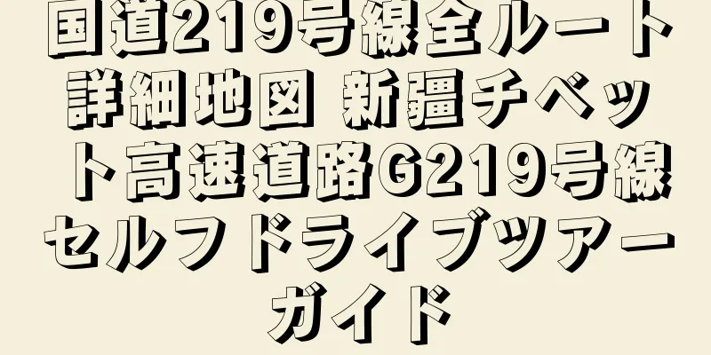 国道219号線全ルート詳細地図 新疆チベット高速道路G219号線セルフドライブツアーガイド