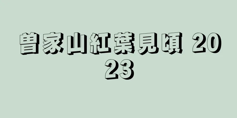 曽家山紅葉見頃 2023