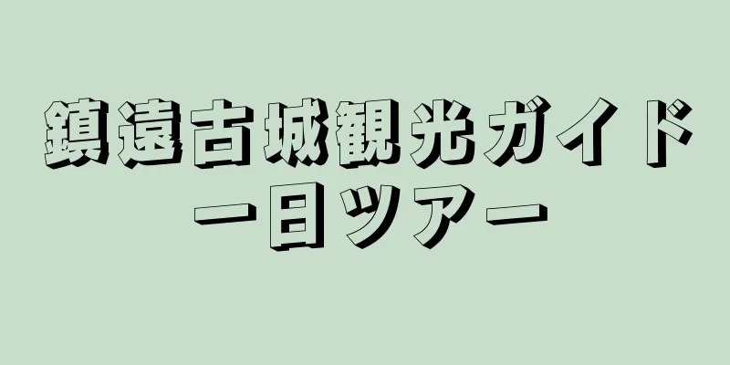 鎮遠古城観光ガイド一日ツアー