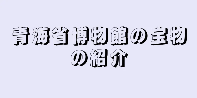 青海省博物館の宝物の紹介